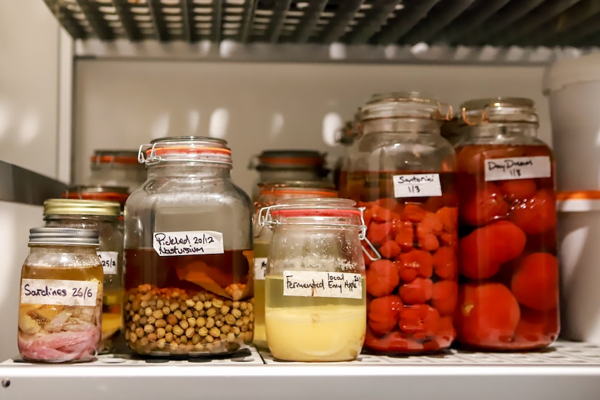 Jars of pickles including sardines and nasturtiums on a cold store shelf. 