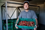 A man smiling at the camera holding a large crate of strawberries.