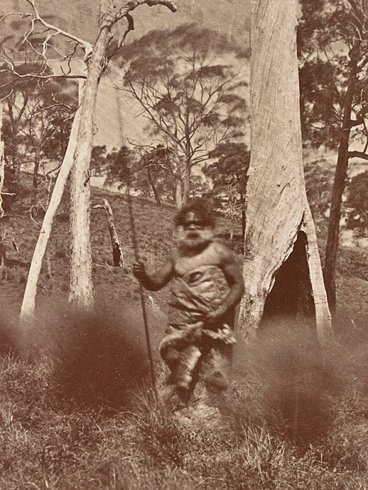 An indigenous man dressed in a possum skin cloak holds a spear in the bush in an old photo.