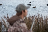 A duck hunter in the foreground, ducks on the water in the background.