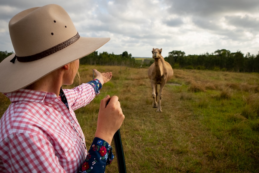 Photo of a woman with a camel.