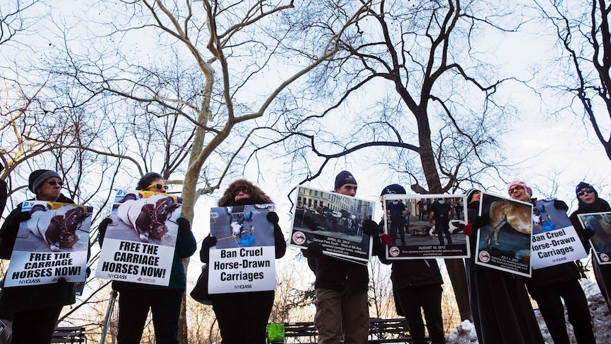 Animal rights protesters hold signs in New York.