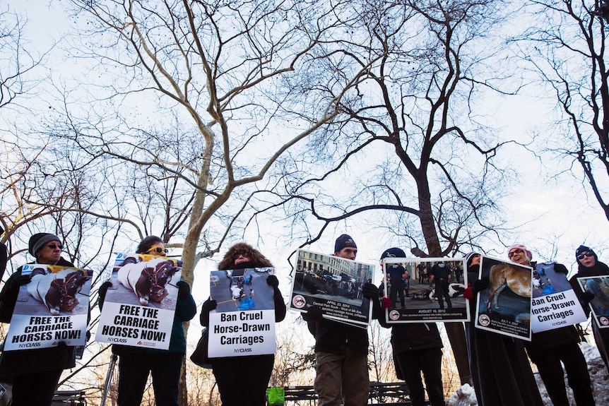 Animal rights protesters hold signs in New York.