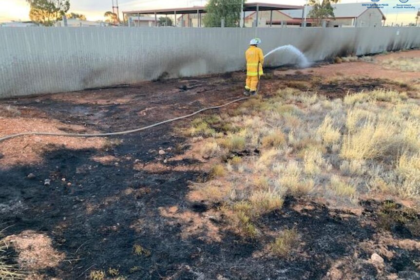 A CFS crew member standing by a fence which has been burnt hosing down some burnt grass