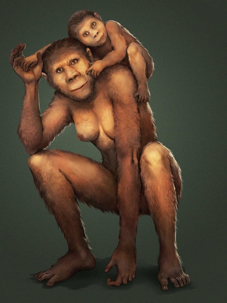 Australopithecus africanus