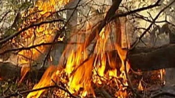 The Commission wants the Government to roughly quadruple the amount of controlled burning.