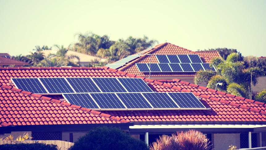 Solar panels on red tile roofs with palm trees in the background.