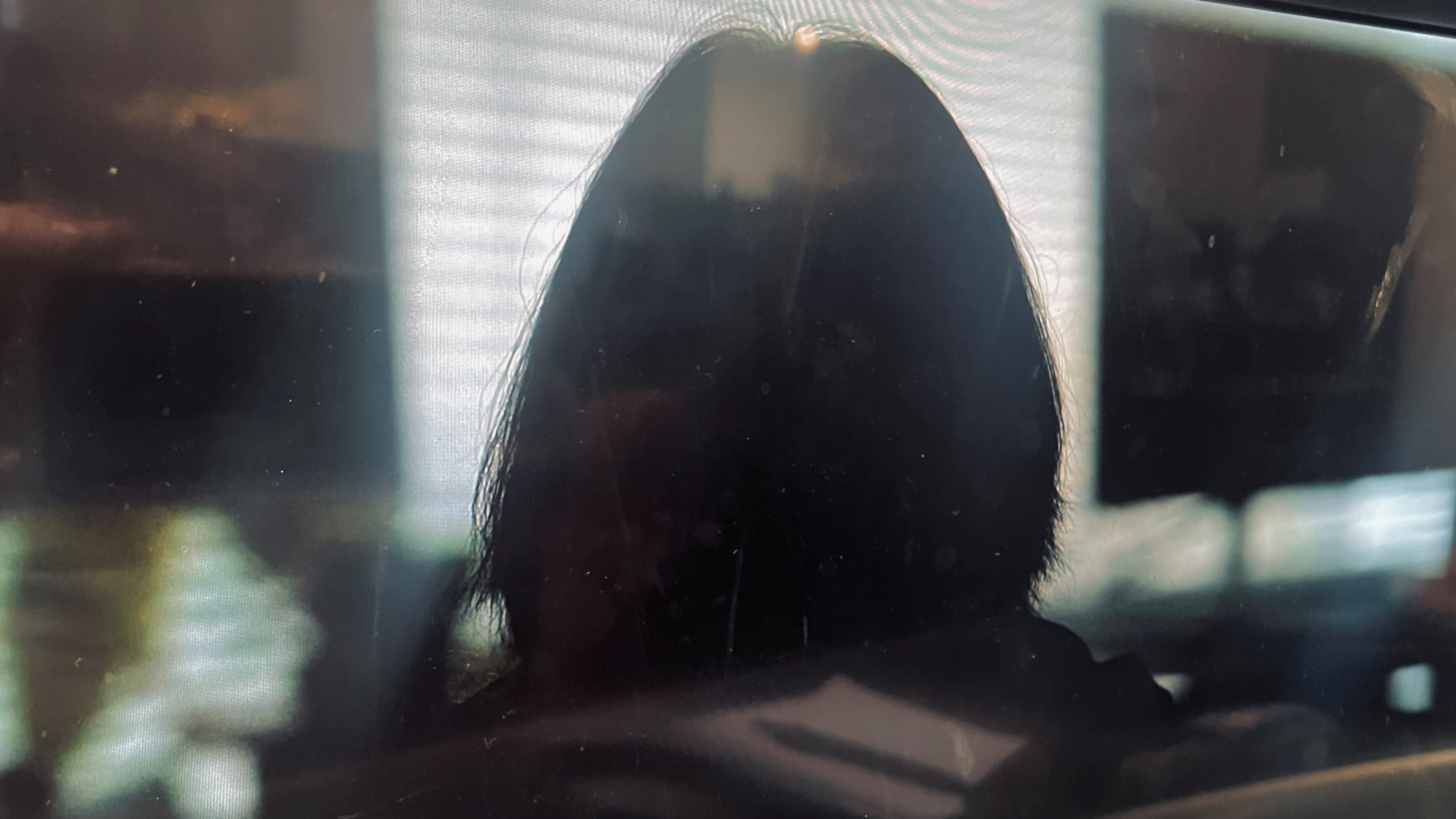 A shot of the back of a woman's head as a silhouette 