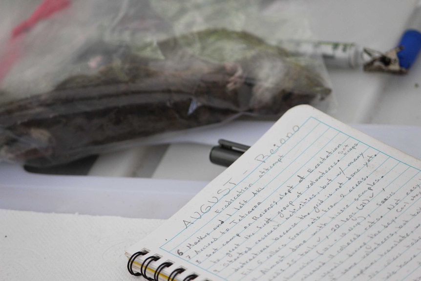 Closeup of a notebook page with "August: Reiono" at the top and handwritten notes below. A plastic sample bag in the background.