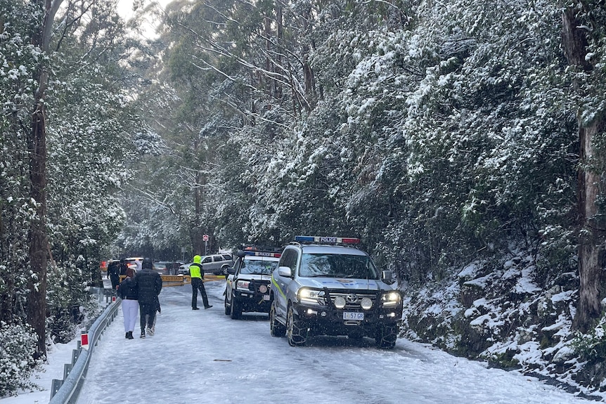 Police cars in the snow on the side of the road