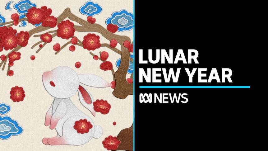 Lunar New Year brings in the Year of the Rabbit, promising 'change and  hope' in 2023 - ABC News
