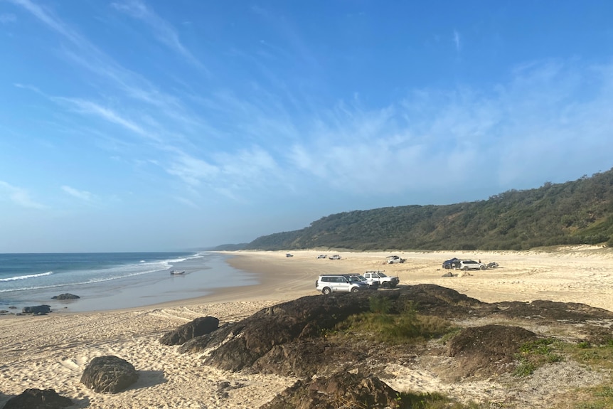 About 10 four wheel drives parked across a wide stretch of beach