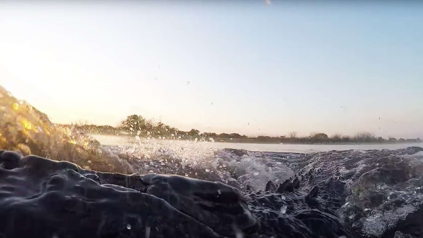 Saltwater crocodile attack on GoPro camera