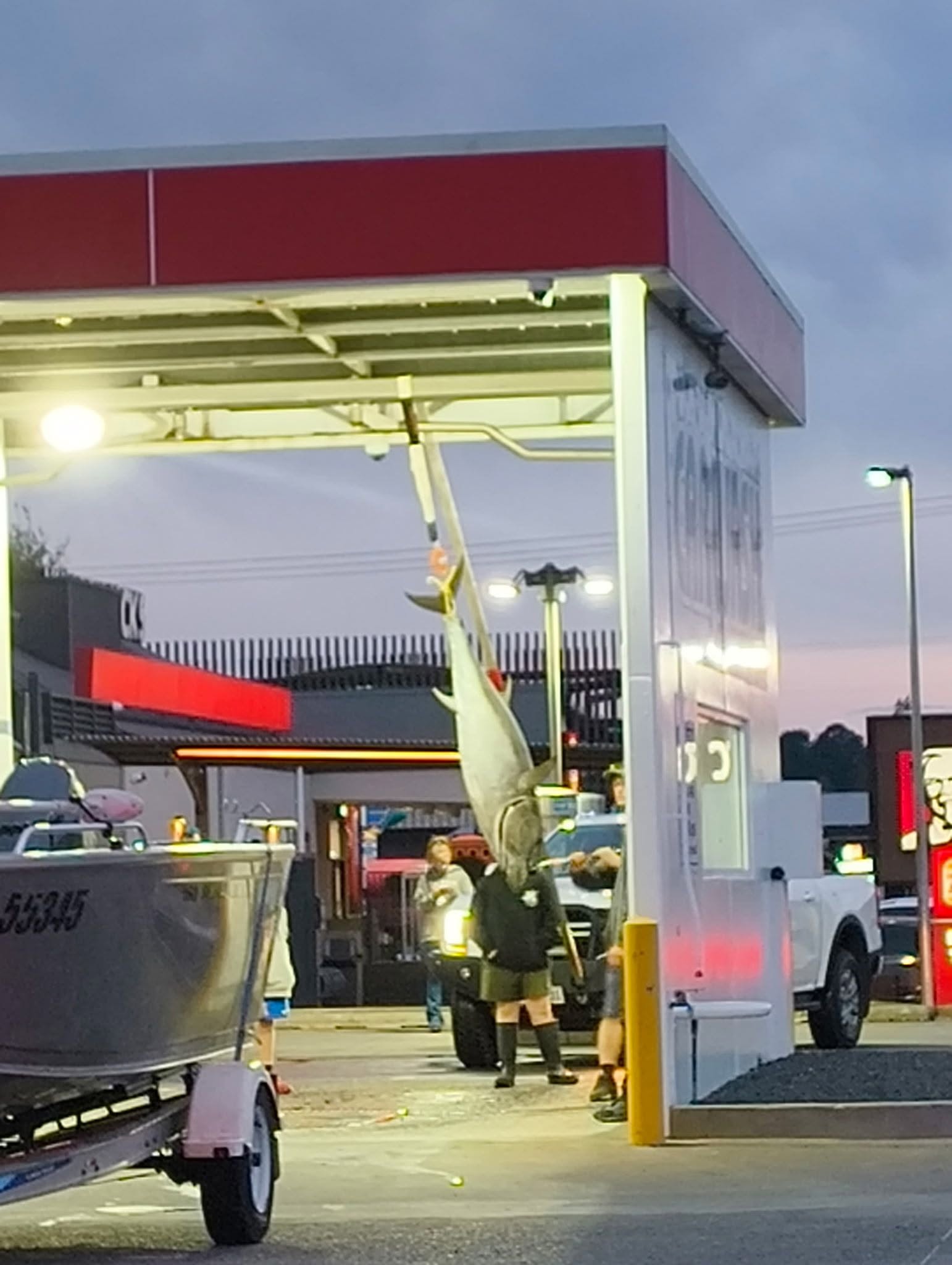 Tuna gets full clean at north-west Tassie car wash - ABC listen - ABC News & Headlines – Australian Broadcasting Corporation