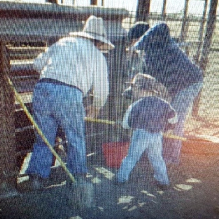 Denim Bucknall working with his grandparents at the cattle yards.