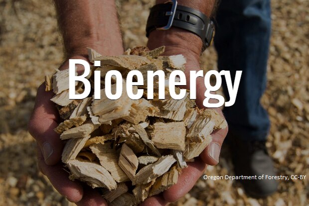 Woodchips are biomass and can be converted into energy