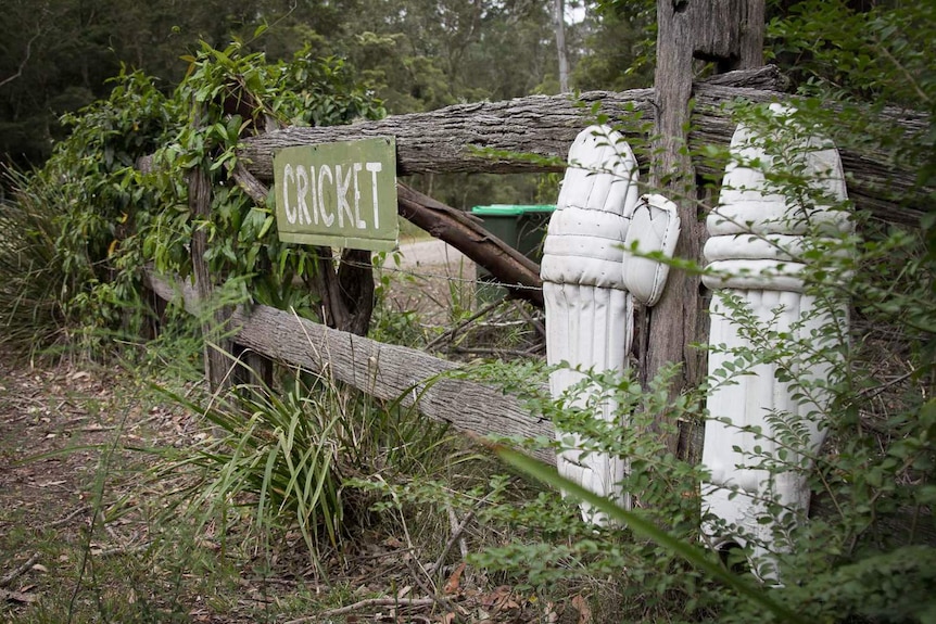 Cricket sign with shin pads against a fence