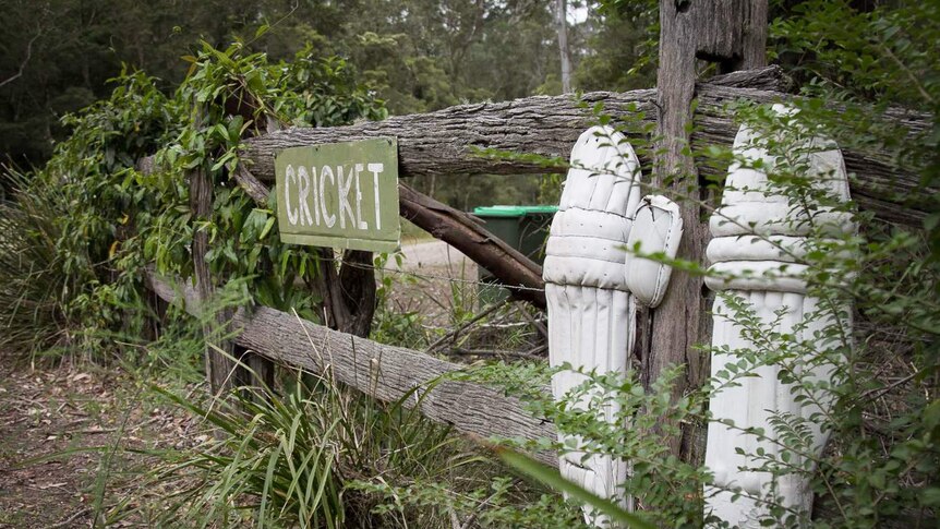 Cricket sign with shin pads against a fence