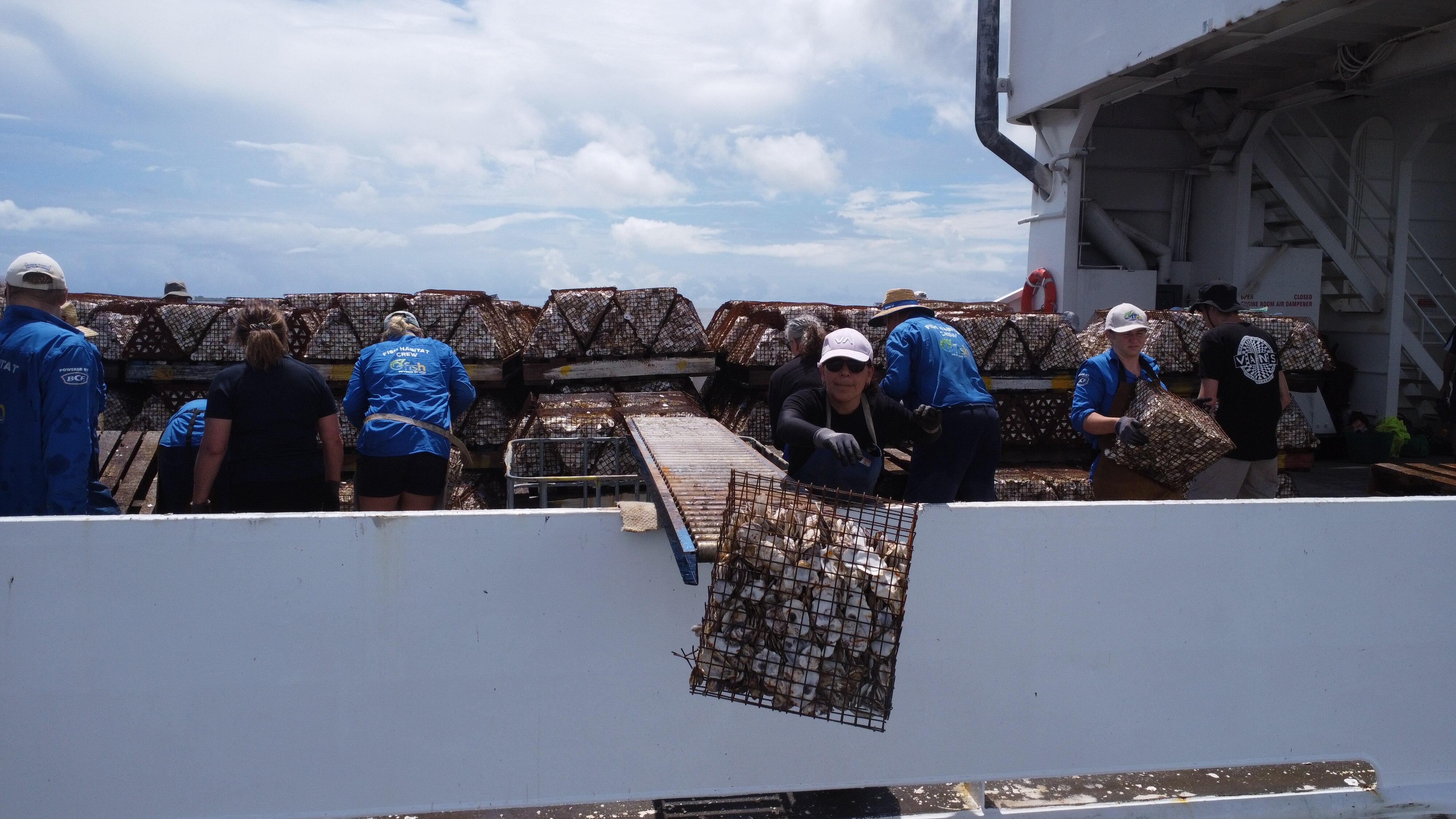 Ozfish drop more than 3,000 man-made oyster reefs at Port of Brisbane ...