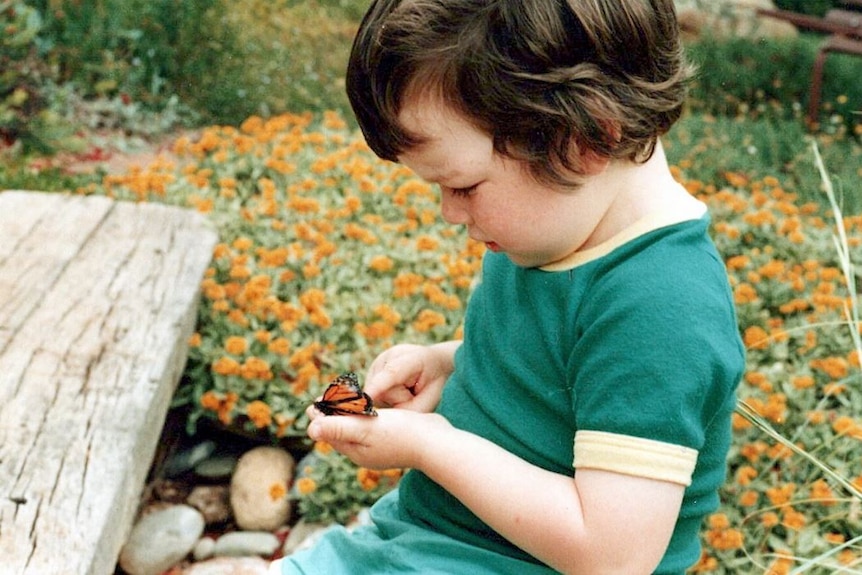 A young boy ina  green t-shirt holds a butterfly in a flower field