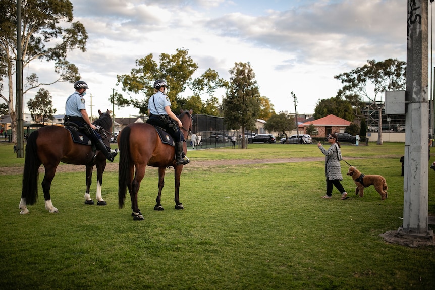 Two police on horseback talk to a woman who isn't wearing a mask while walking her dog.