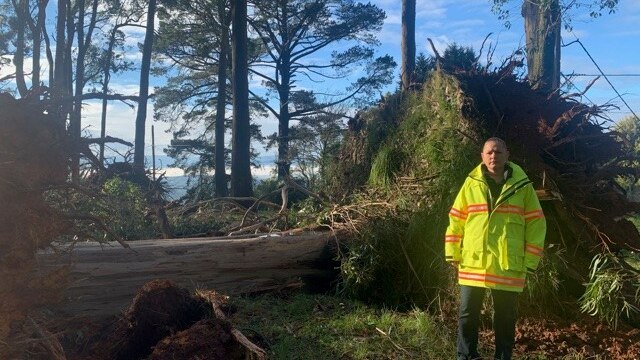 A middle-aged woman wearing a high vis jacket  stands in front of fallen trees. 