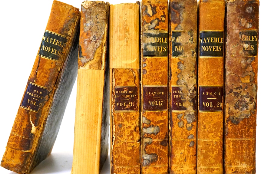 Seven old hardcover books standing side by side 