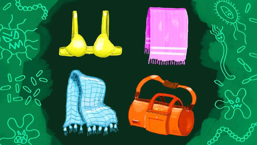 Illustration of bras, towels, gym bag, throw blanket and green bacteria to depict how often to wash everyday items.