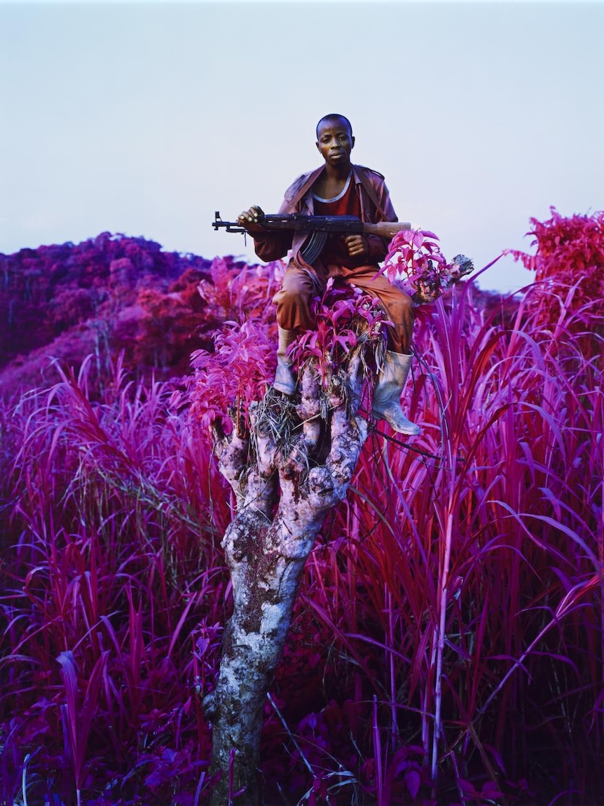 Richard Mosse Higher Ground at the NGV