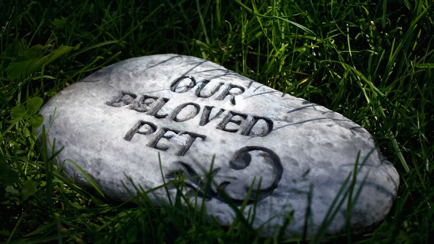 A gravestone in a pet cemetery