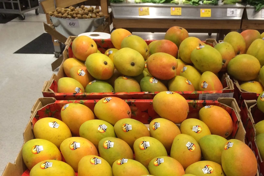 Manbulloo Mangoes supplies Coles supermarkets in every state around Australia.