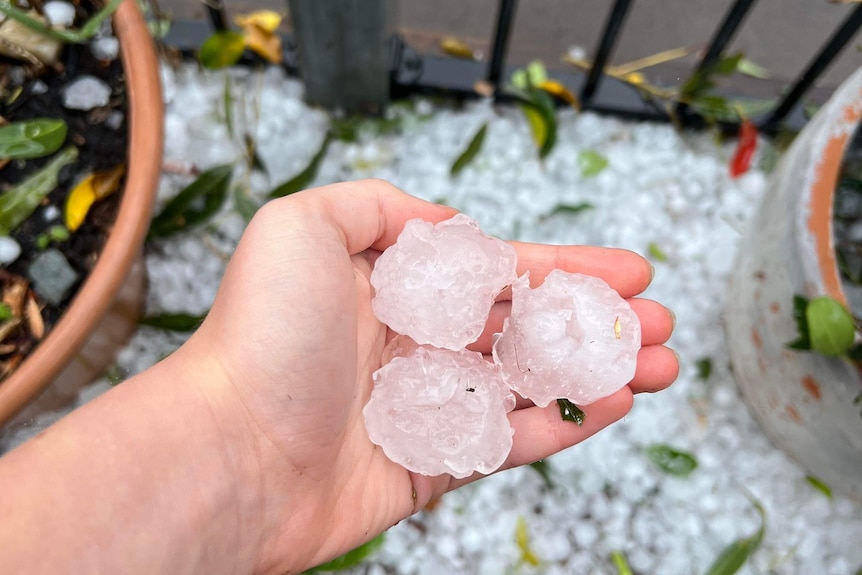 Large hailstones in a woman's hand.