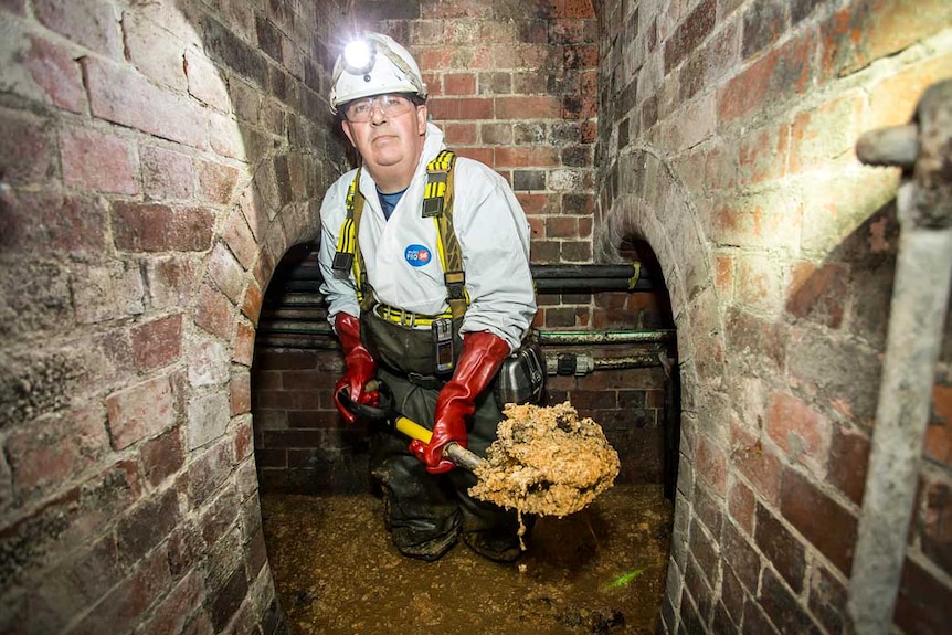 A worker knee-deep in sewage wearing waterproof pants holds a shovel loaded with a yellowish substance.