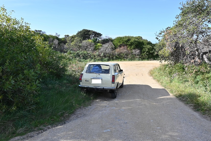 A light-coloured old-style station wagon parked on the side of a dirt beach road.