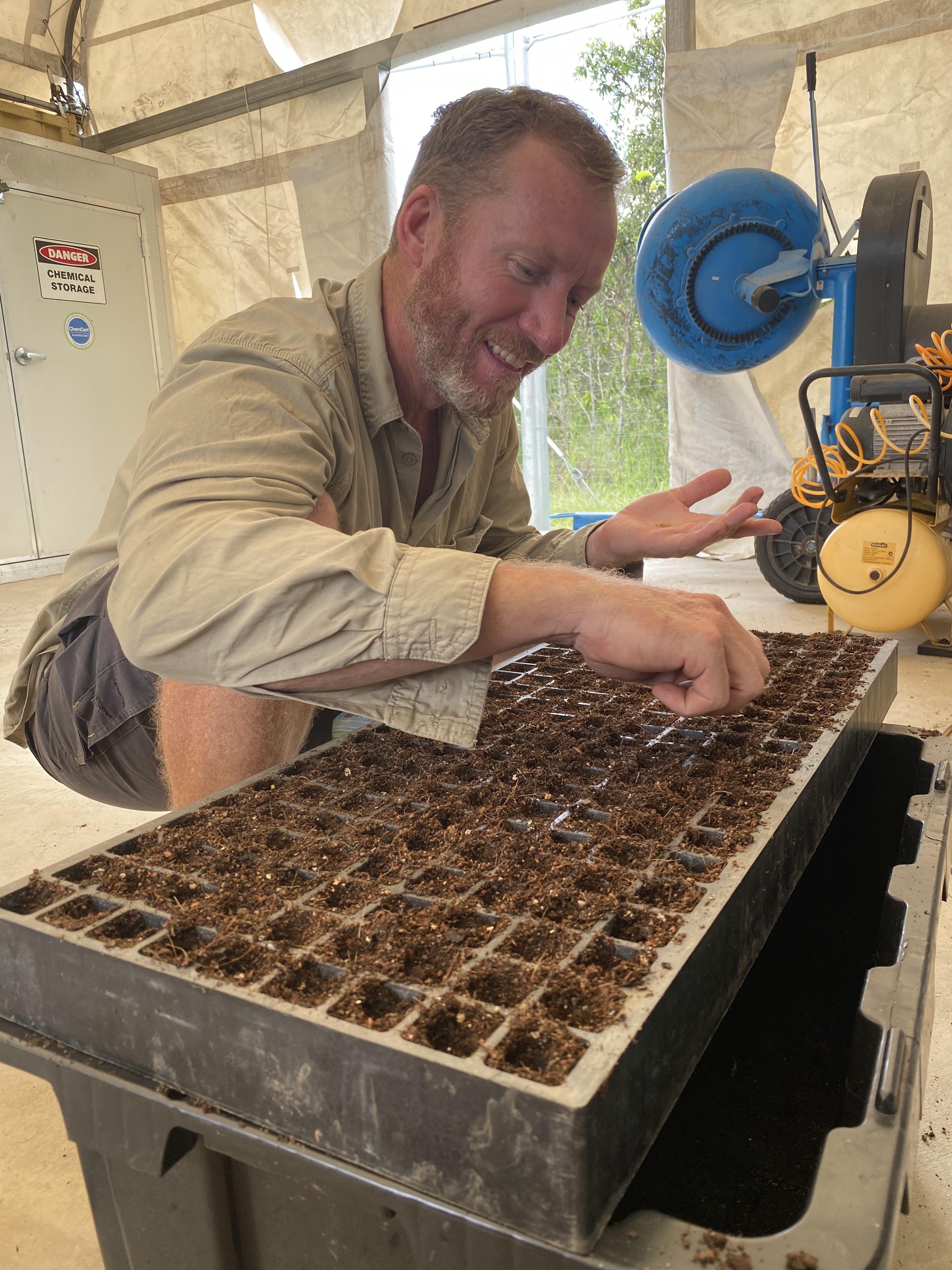 Man in workshirt looks at seedlings