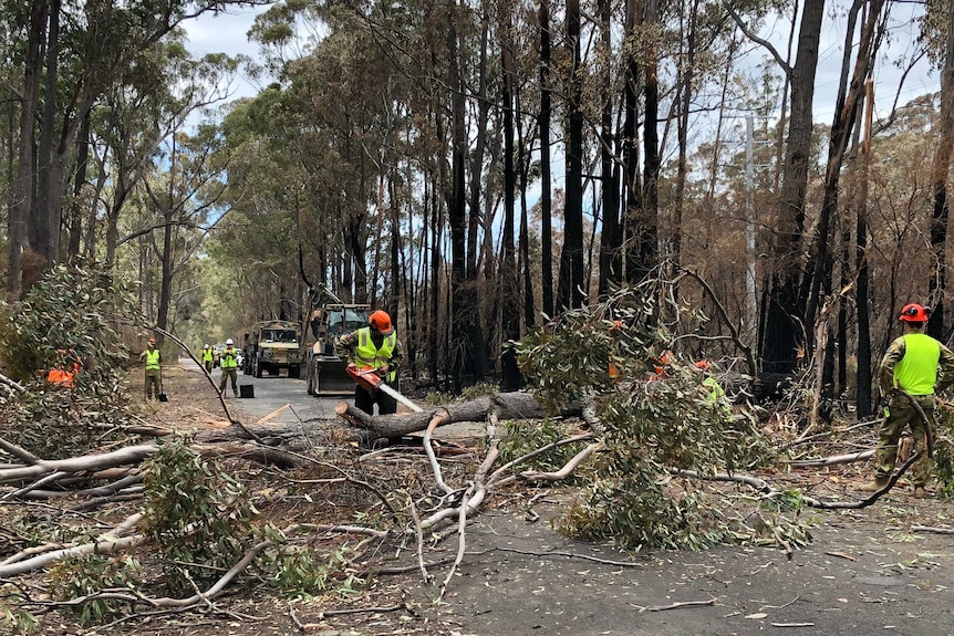 Workers with chainsaws cut-up trees to remove them from a forested road.