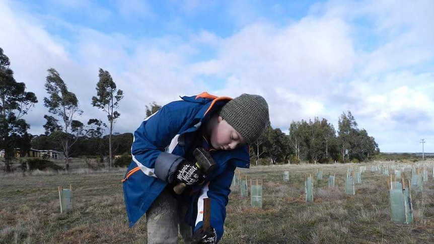 boy hammers wooden stick into dirt