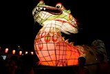 Dragon at the Moon Lantern Festival