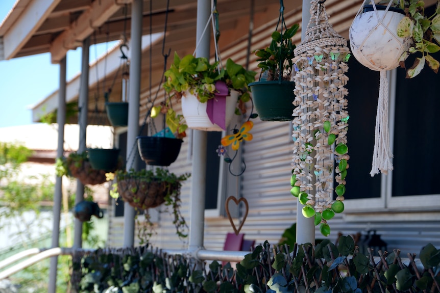 A row of potted plants hanging from the veranda of a house.