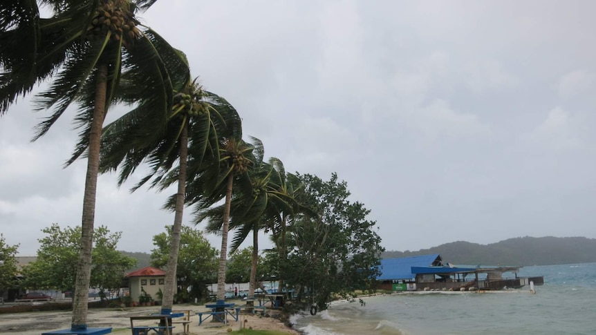 Pacific islands may be more resistant to rising sea levels, researchers say