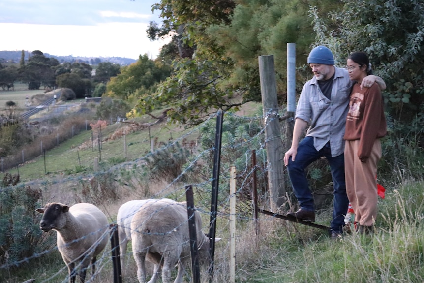 A man and his teenage daughter stand next to sheep looking over green fields 