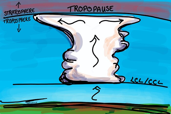 Diagram of large cumulonimbus cloud: flat bottom at the LCL and flat top at tropopause