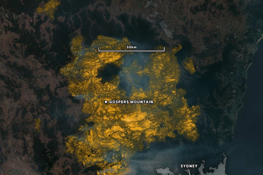 Satellite imagery showing fire scarring at Gospers Mountain