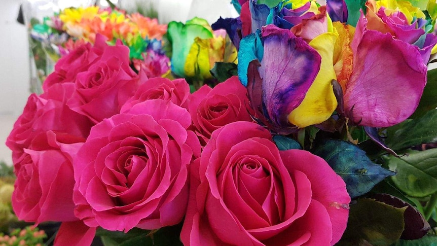 Close-up of red roses and rainbow coloured roses