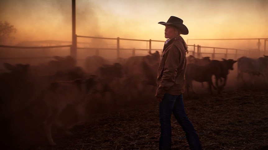 Stephanie Coombes stands in the yards with cattle running past
