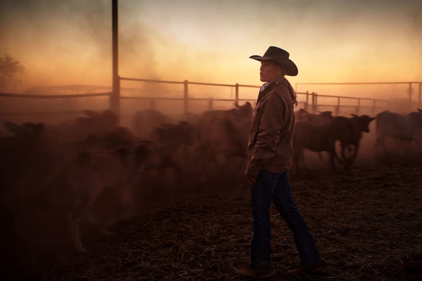 Stephanie Coombes stands in the yards with cattle running past