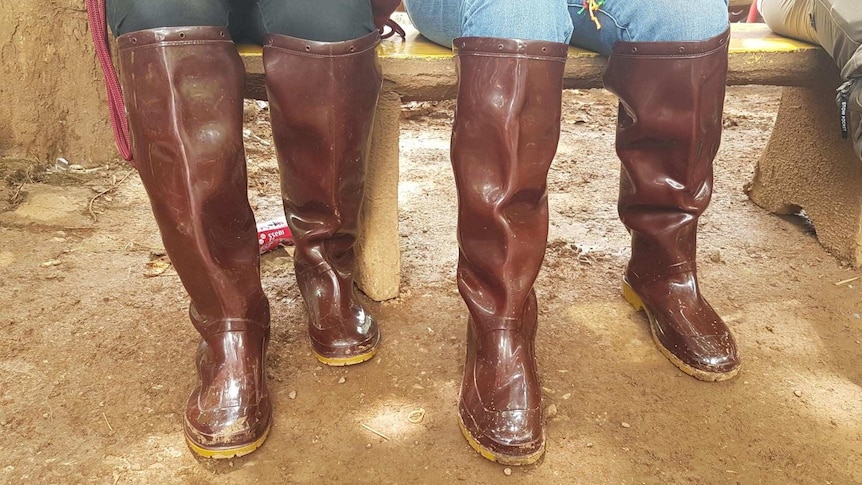 Two people wear shiny brown gumboots.