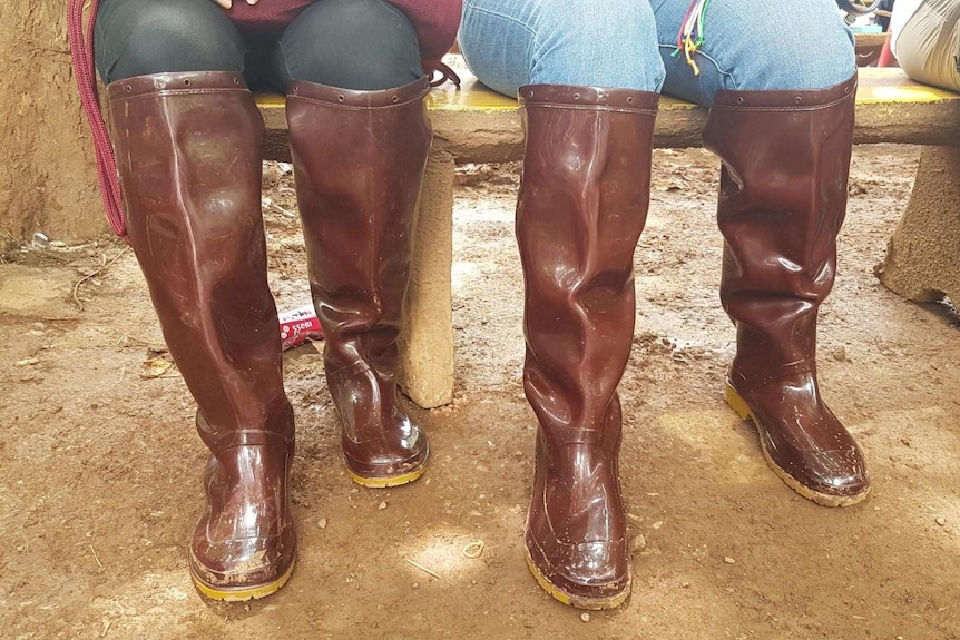 Two people wear shiny brown gumboots.