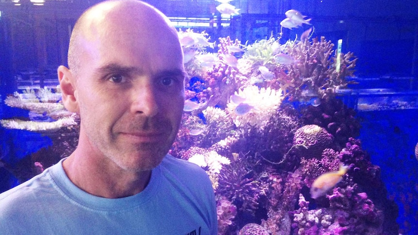 Reef researcher Dr Andrew Negri will test how toxins affect coral spawn.