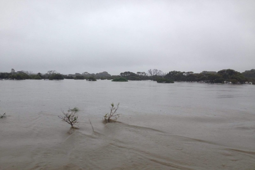 The Lort River, between Ravensthorpe and Esperance.